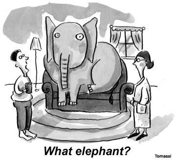 2015-08-14-what-elephant