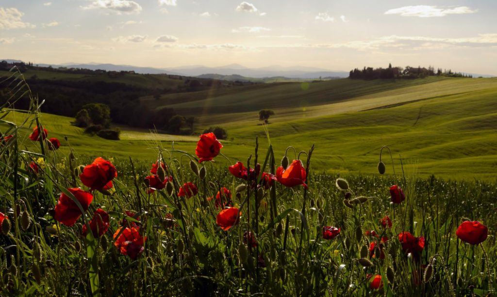 tuscany hills example