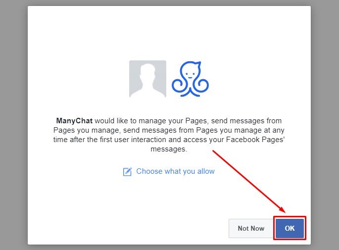 give manychat access to your facebook page
