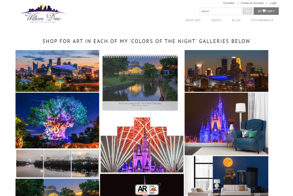Successful Art Storefronts Photographer Website Examples